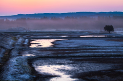 Foggy flow