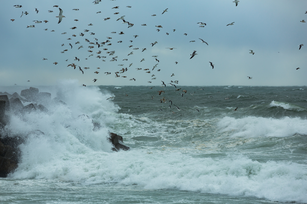 Rough seas