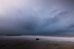 Winter sea