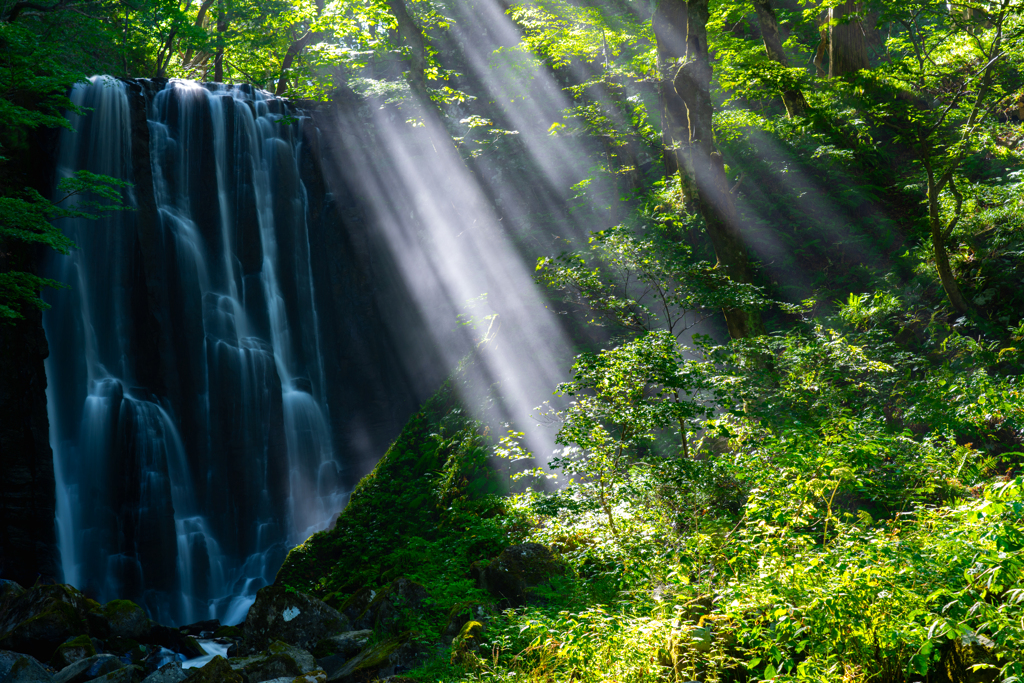 morning light