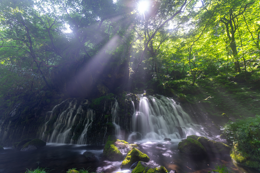 Summer scenery