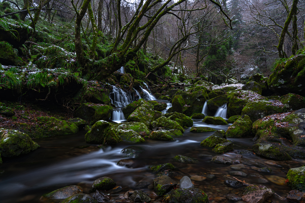 early winter