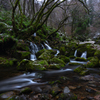 early winter