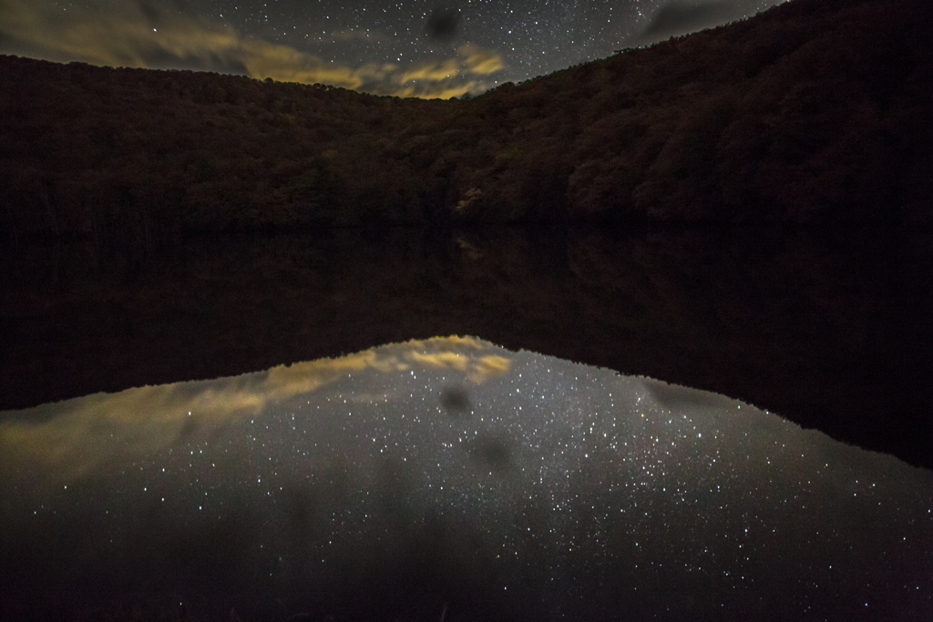 Swamp mirror