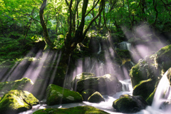 Light falls