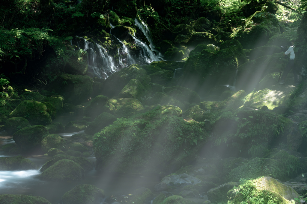 In the light