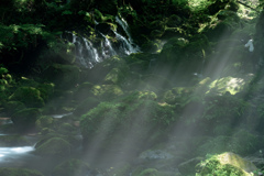 In the light