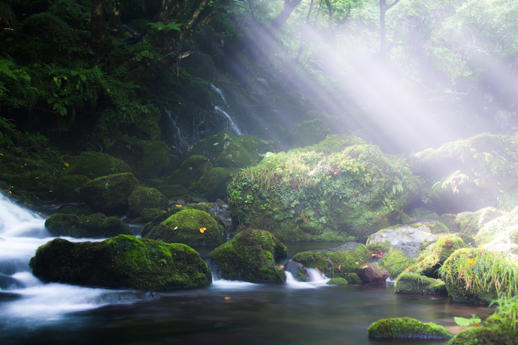 To shine