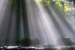 Shower of light