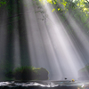 Shower of light