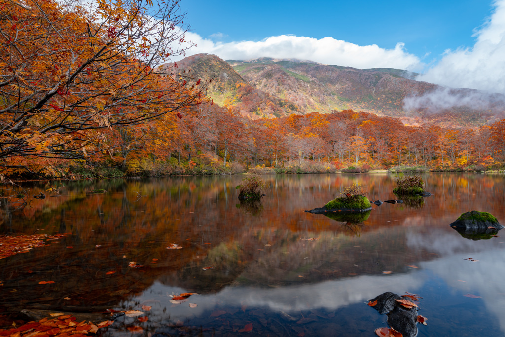 Autumn blue sky