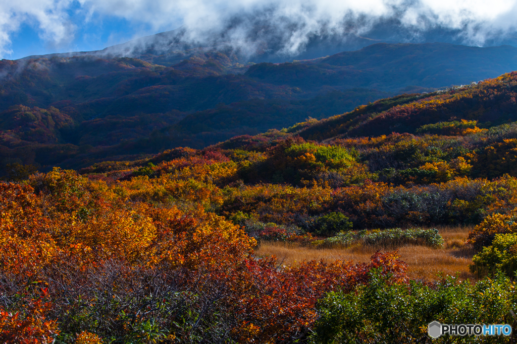 Autumn color
