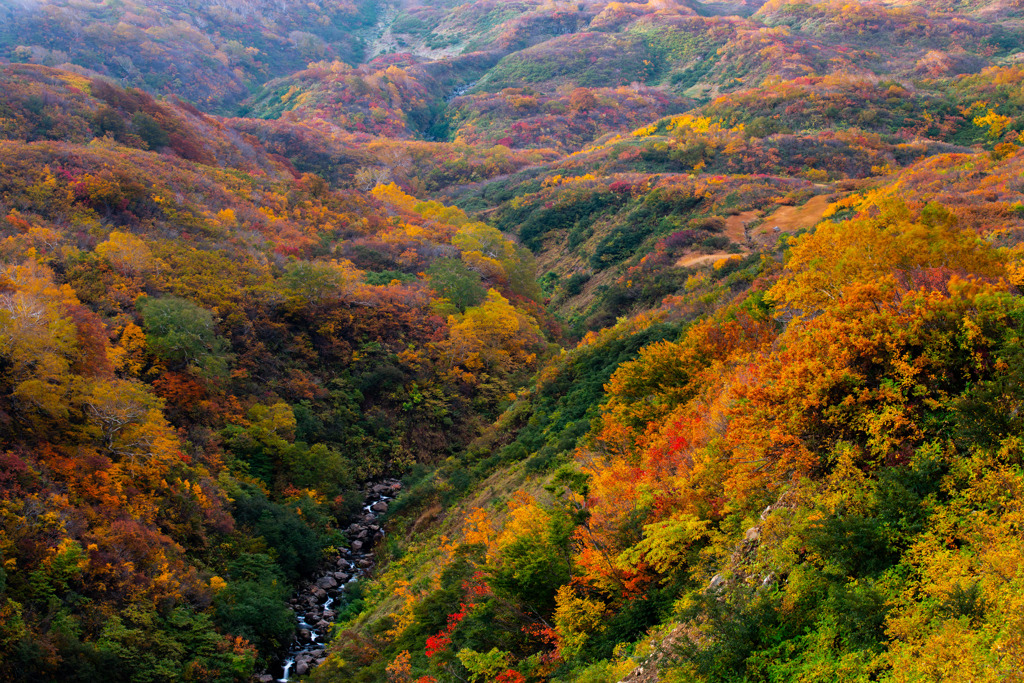 Valley