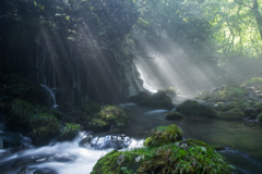 Morning light