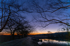 Breaking Dawn