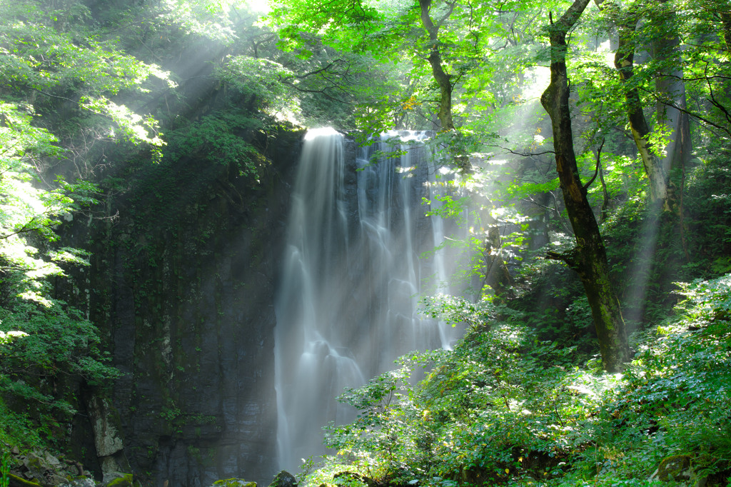 残夏の輝き
