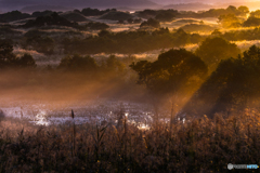 In autumn ～ Toushi