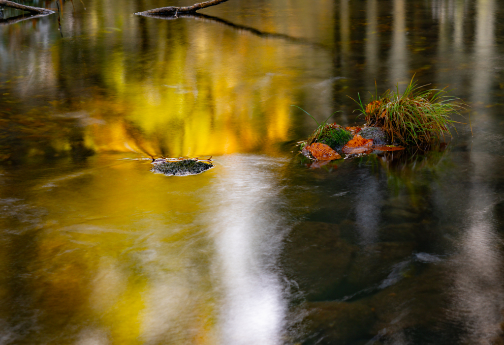 late autumn colors