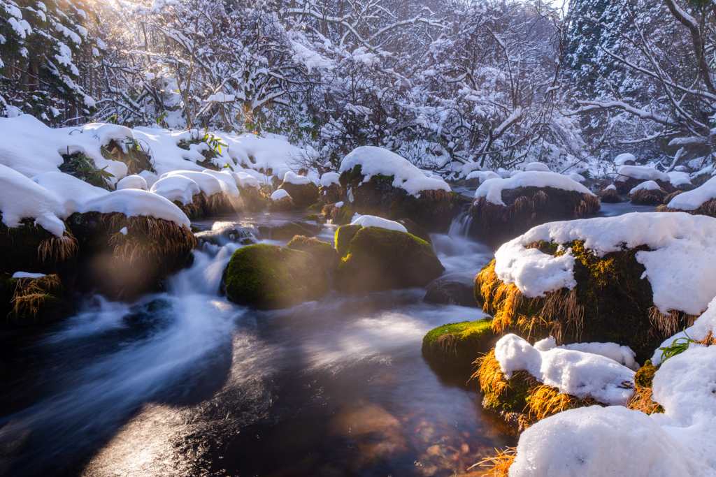 Winter morning