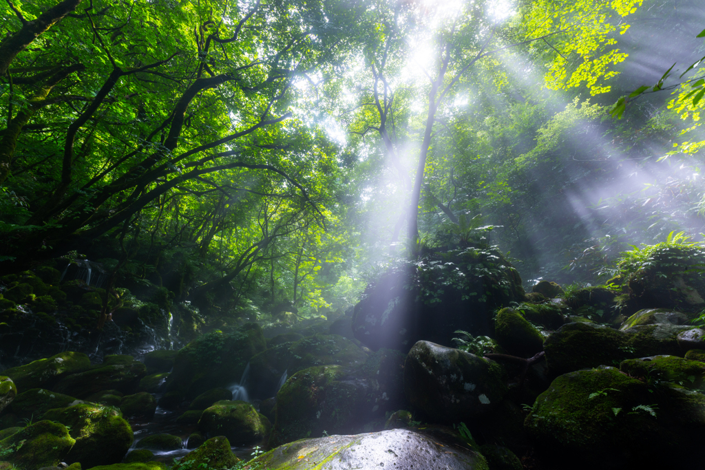 Shining stone