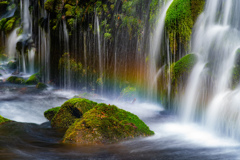Spring rainbow