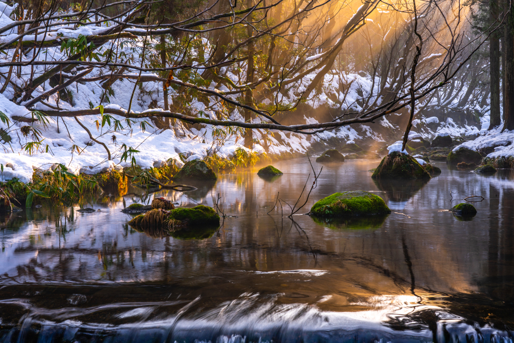 winter light