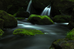 Stream