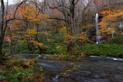 Late autumn in the rain