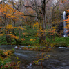 Late autumn in the rain