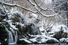 Powder Snow