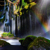 Winter rainbow