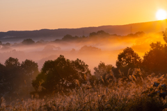 Sunrise