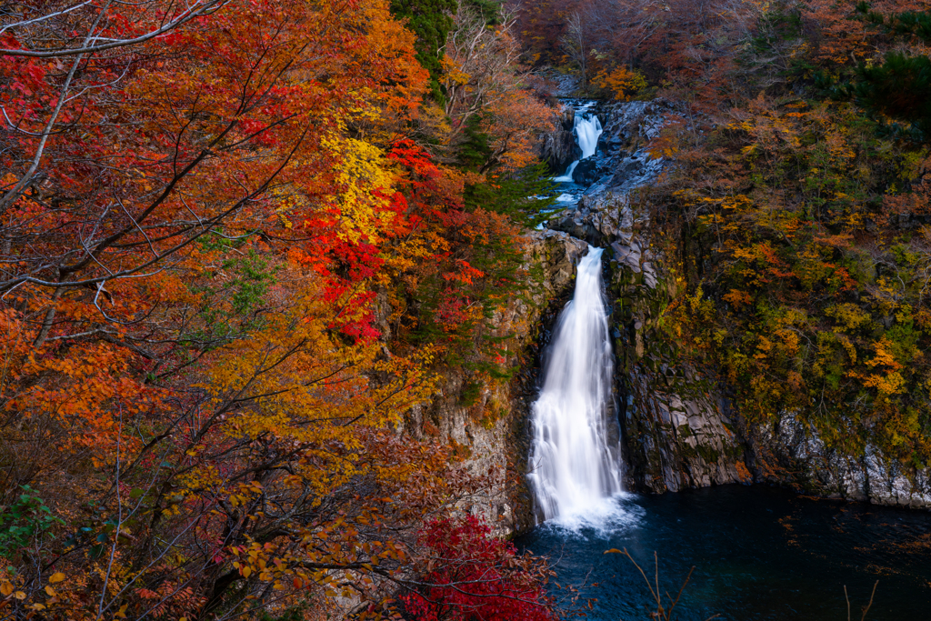 late autumn colors