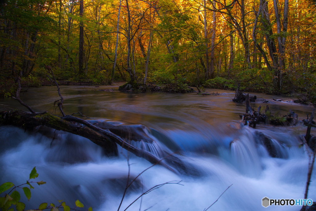 Autumnal scenery ～ Oirase