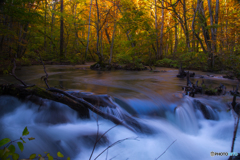 Autumnal scenery ～ Oirase