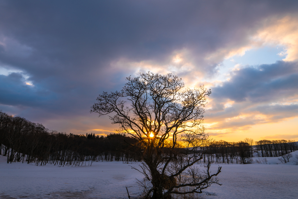 Snowy field