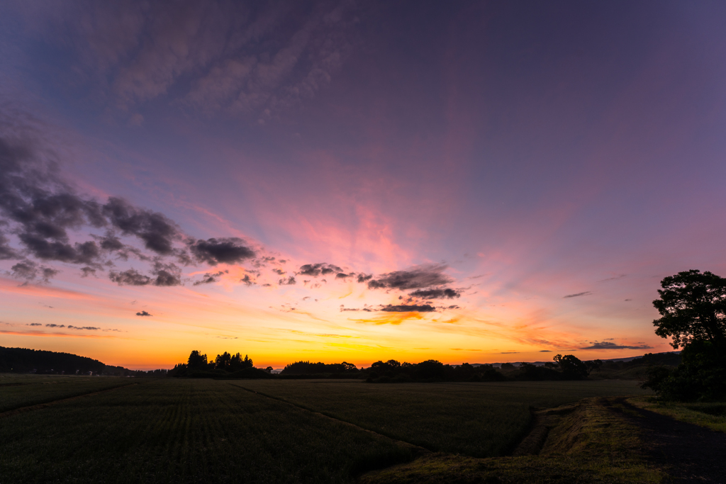 Daybreak