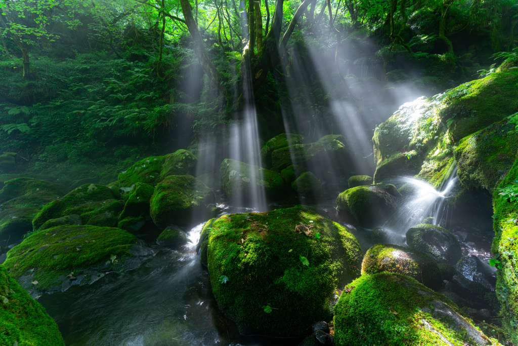 Sun light