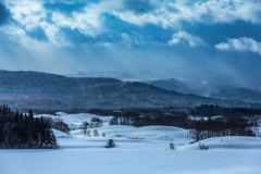 Winter light