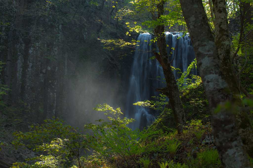 Light shines