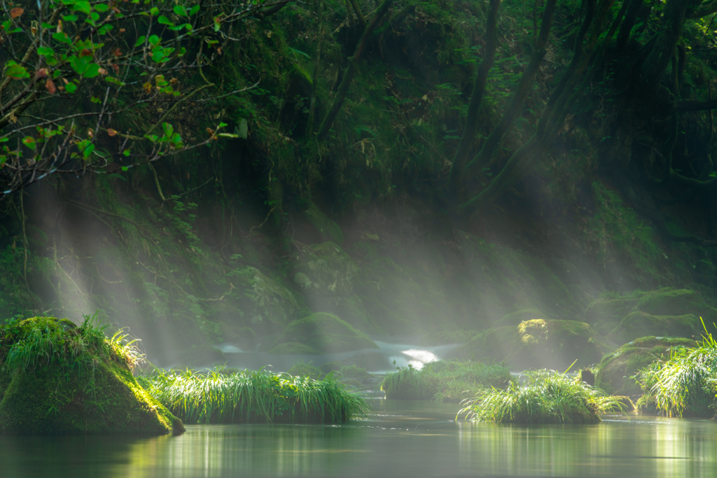Early summer morning