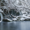 Snowy landscape