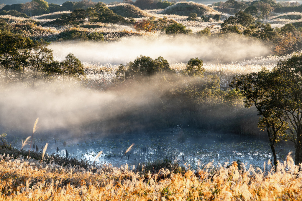 Autumn morning