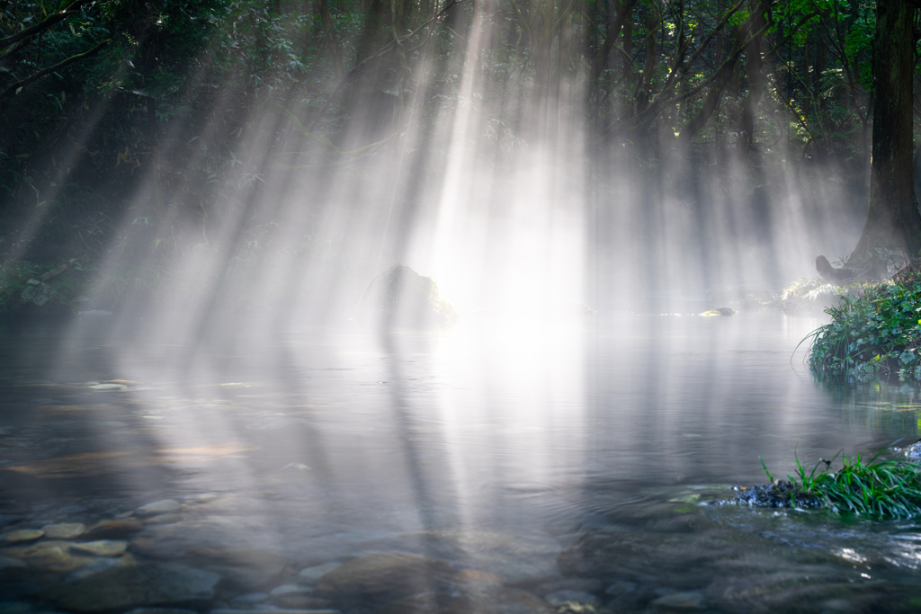 reflection