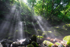 morning light