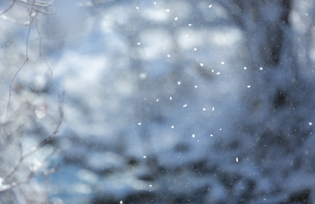 Powdery snow