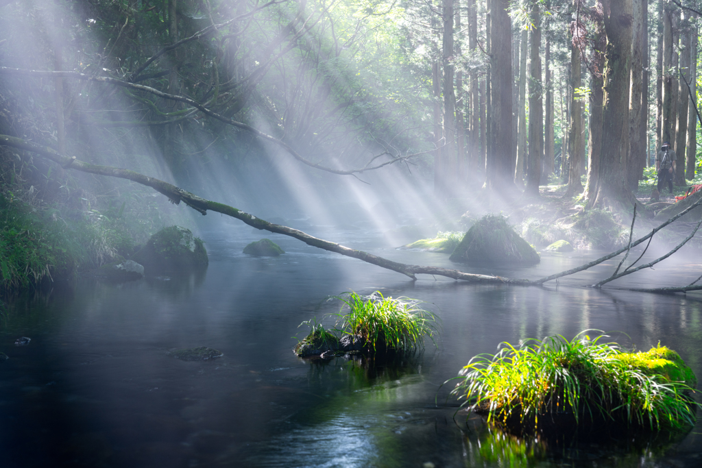Morning light