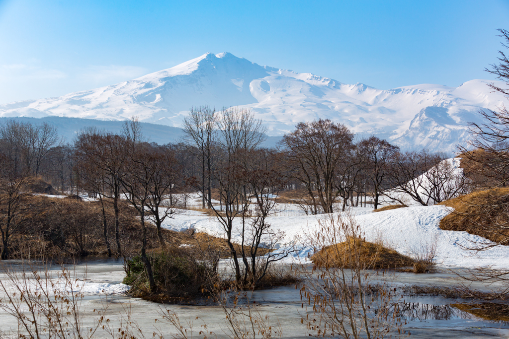Spring Mt.Cyoukai