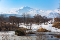 Spring Mt.Cyoukai