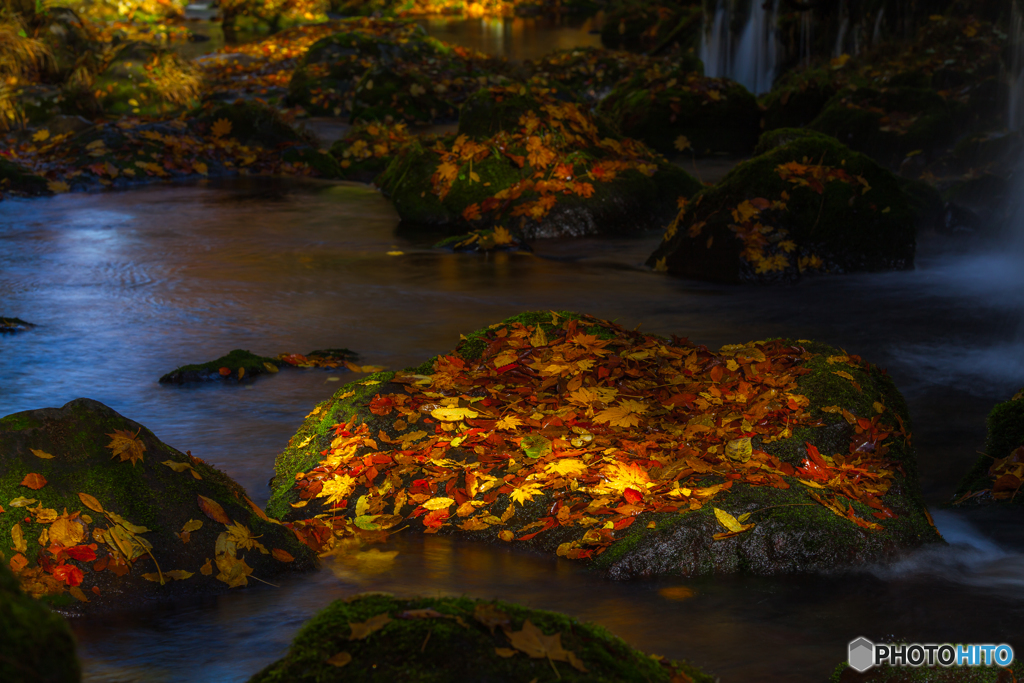 Autumn Deep color